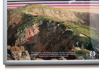 TULI Poster (Framed) by Safwat Saleem